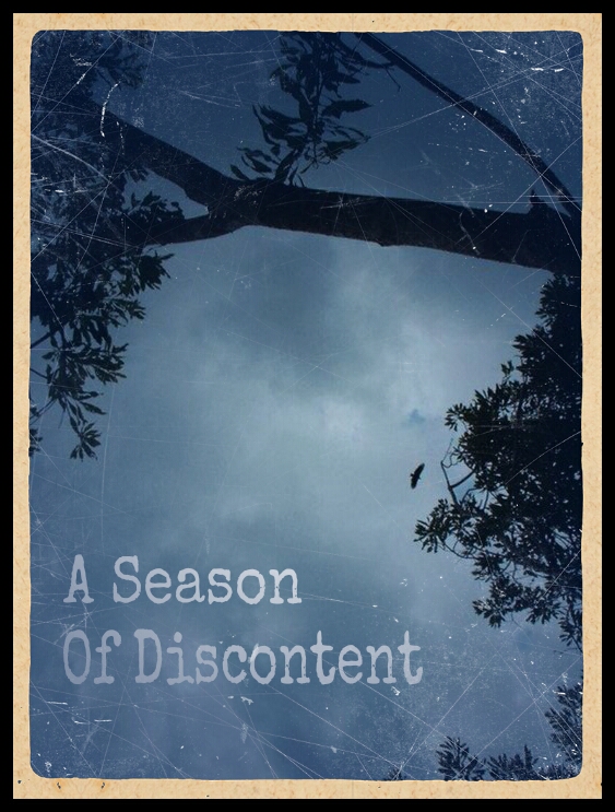 Solomon: A Season of Discontent